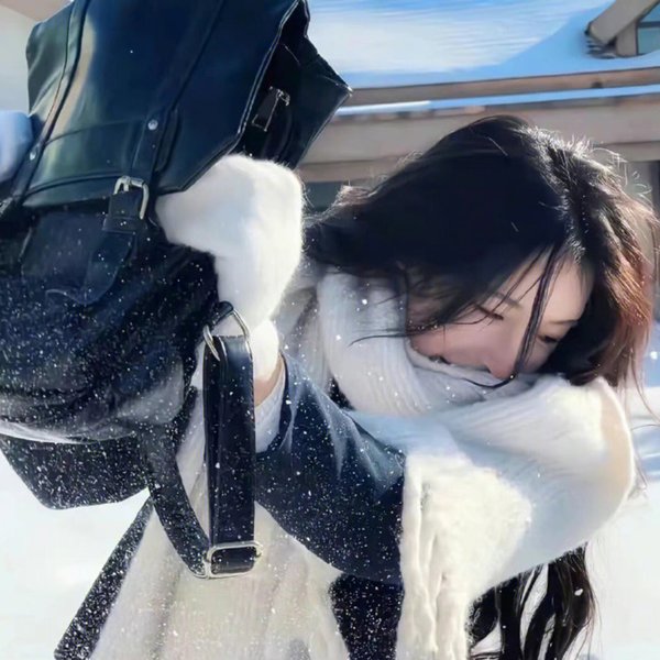 铿锵玫瑰