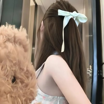 公主复仇者