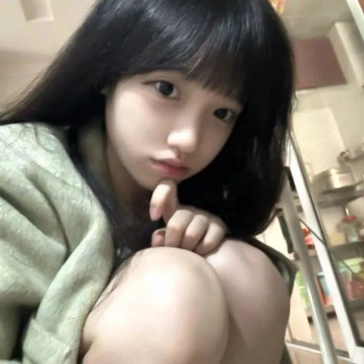 大灰熊2